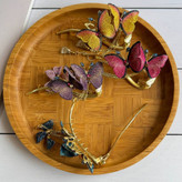 گیره چفتی پروانه2